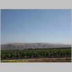 20060826_25California_001 copia.jpg